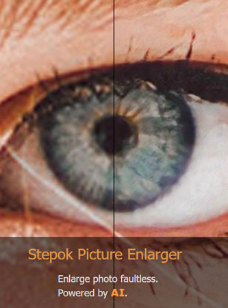 دانلود نرم افزار Stepok Picture Enlarger v3.1.0.0