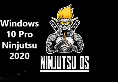 دانلود سیستم عامل Windows 10 Pro Ninjutsu 2020 2.0 v2004 Build 19041