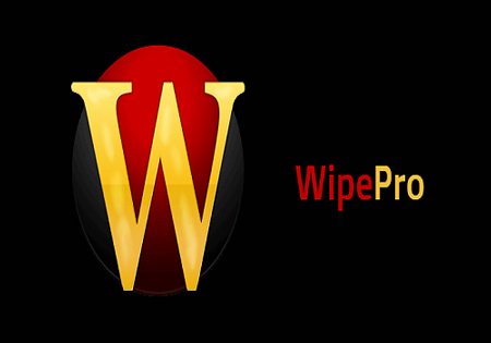 Wipe Professional 2023.06 instal the last version for windows