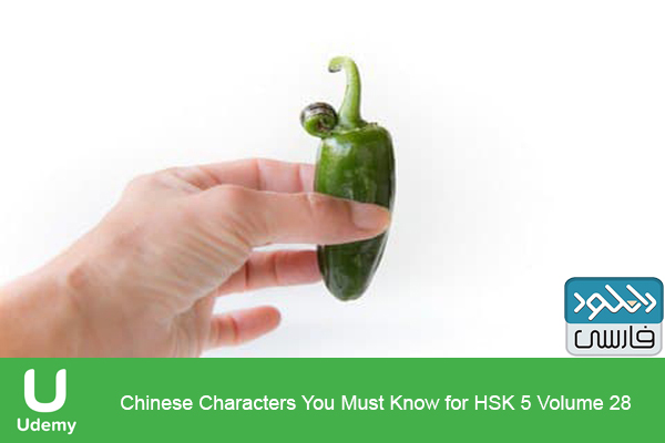 دانلود فیلم آموزشی Udemy – Chinese Characters You Must Know for HSK 5 Volume 28
