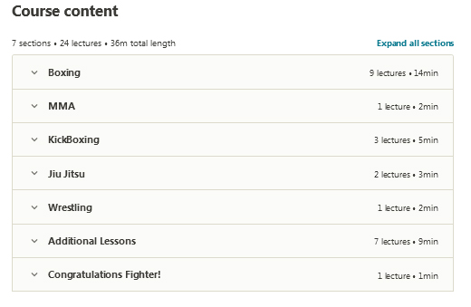Udemy-Learn-MMA-Fighting-Techniques-at-Home-With-Zero-Knowledge-screen