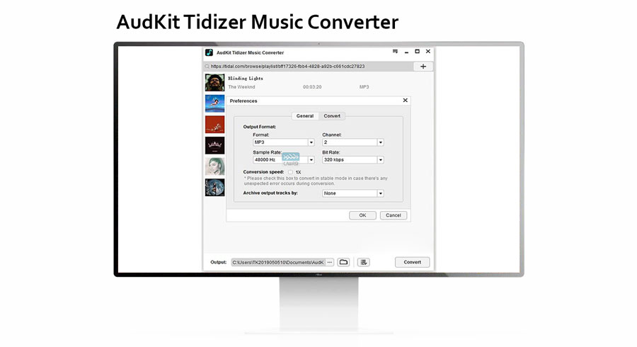 دانلود نرم افزار AudKit Tidizer Music Converter v2.8.2.1 مبدل فایلهای صوتی