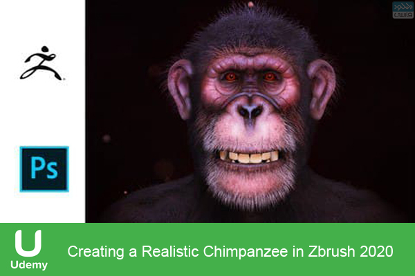 دانلود فیلم آموزشی Udemy – Creating a Realistic Chimpanzee in Zbrush 2020