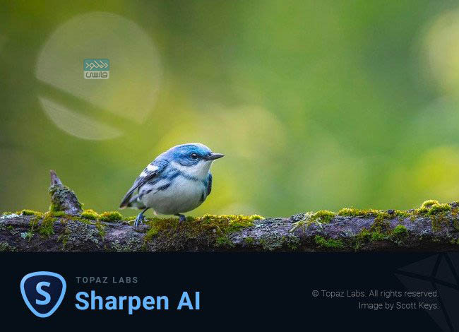 دانلود نرم افزار توپاز شارپن Topaz Sharpen AI v4.1.0