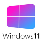 Windows 11 Pro CompactLite