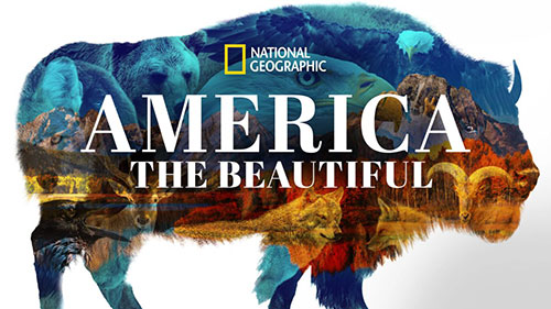 فیلم مستند America the Beautiful آمریکا زیباست ( فصل اول )