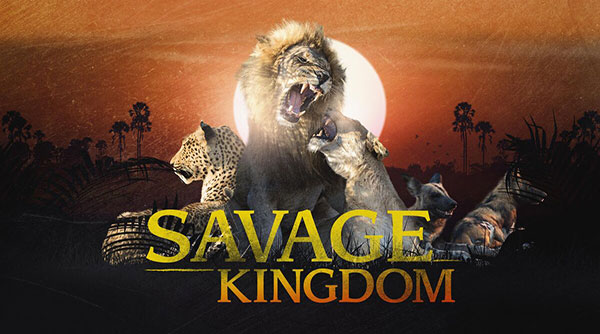 دانلود مستند سریالی Savage Kingdom 2016-2020 پادشاهی وحشی