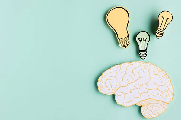 آموزش ویدیویی Habits for Success لیندا