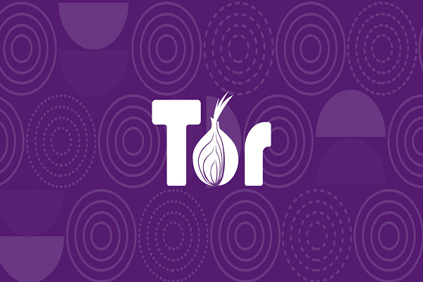 دانلود Tor Browser v13.0.9 مرورگر امن تور