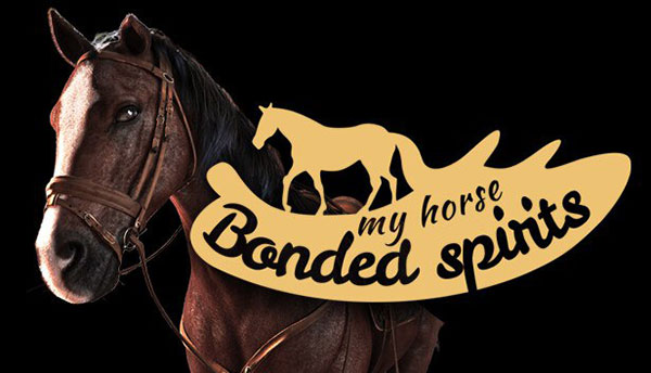 دانلود بازی My Horse Bonded Spirits – SKIDROW برای کامپیوتر