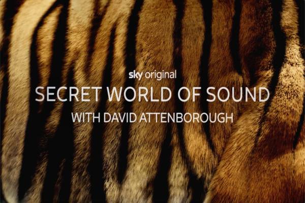 دانلود مستند Secret World of Sound with David Attenborough 2024 دنیای مخفی صدا با دیوید اتنبرو 