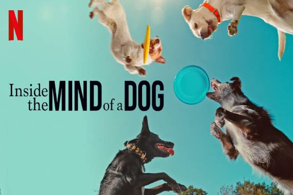 دانلود مستند Inside the Mind of a Dog 2024 درون ذهن یک سگ با زیرنویس فارسی