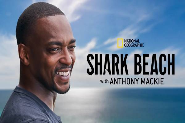 دانلود مستند Shark Beach with Anthony Mackie 2024 ساحل کوسه با آنتونی مکی دوبله فارسی