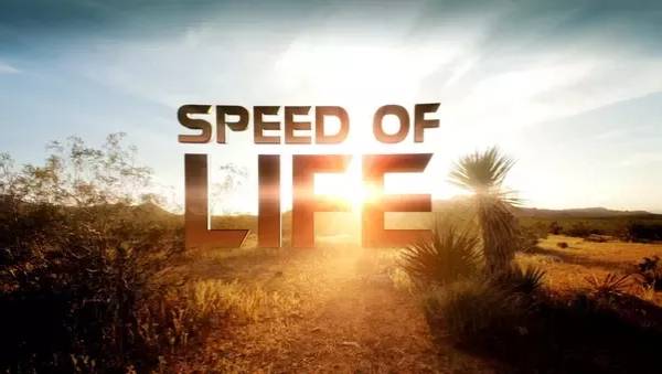 دانلود مستند Speed of Life 2010 سرعت زندگی با زیرنویس فارسی