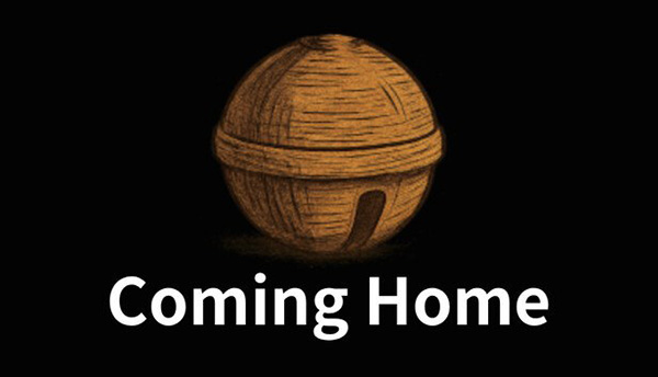 دانلود بازی ComingHome نسخه TiNYiSO